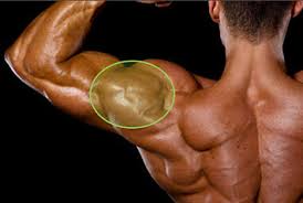 If you truly want to know how to get bigger boulder shoulders, you have to be willing to leave your while this is an effective way to build bigger and stronger shoulders overall, it tends to not work so well if you want to increase the size and strength of. The Best Exercises To Build Big Shoulders