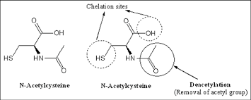 Nac was synthesized in 1961 and patented by mead johnson in 1965. Structure Of N Acetyl Cysteine Nac Depicting 1 Two Chelating Sites Download Scientific Diagram