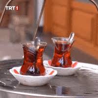 Trazy GIFs - Find & Share on GIPHY