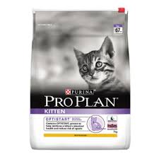 Did you scroll all this way to get facts about siamese kitten? Purina Pro Plan Cat Food For Kitten Pet Food Buy Online