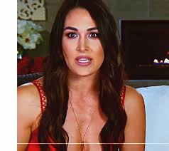 Brie Bella Help Daniel Bryan