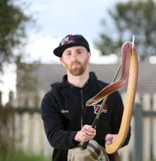 Bendigo Snake Catcher Chris Page Shares Tips After Bendigo Botanic Gardens Encounter Bendigo Advertiser Bendigo Vic