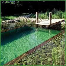 How To Build A Natural Swimming Pool Mother Earth News Natural Pool Natural Swimming Pools Natural Swimming Pool
