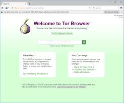 Are you sure no one is spying on you? Tor Browser For Windows 10 5 2 Free Download Freewarefiles Com Security Privacy Category
