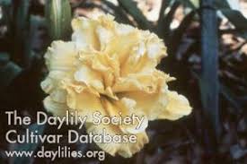 Click on the first link on a line below to go directly to a page where betty woods daylily is defined. Louisville Area Daylily Society Lads Garden Plant List New