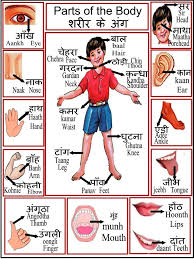 15 Best Images About Hindi On Pinterest Words Alphabet Hindi Language Learning Hindi Worksheets Hindi Language