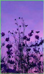Iphone Wallpaper Aesthetic Sky Iphonewallpaperaestheticgrunge Iphonewallpaperaesthetic Purple Wallpaper Sky Aesthetic Aesthetic Wallpapers