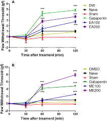 Image result for Petersianthus macrocarpus