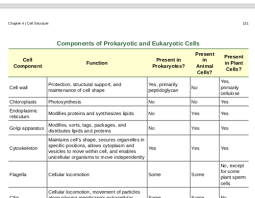 Which of the following structure can be found in a plant cell but not an animal cell? Ch 4 Cell Structure Flashcards Quizlet