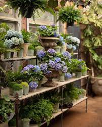 Pin On The Florist
