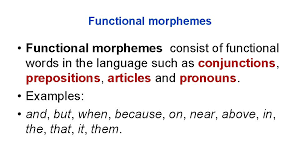 Check spelling or type a new query. Morphology And Word Formation Definition In Linguistics Morphology