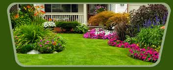 The best company in this area in 2020! Buildeey