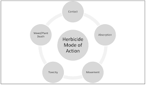 modes of action of different classes of herbicides intechopen