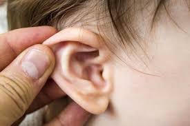 Tak tanduk telinga dipulas =tindakan apa pun dilakukan asal dapat merugikan lawan (membalas dendam). Benjolan Di Belakang Telinga 9 Penyebab Dan Pengobatan Honestdocs