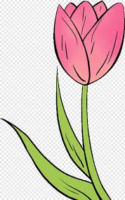 Flowers Drawing Tulip Flowers Drawing Easy Transparent Png 424x672 9324706 Png Image Pngjoy Flowers drawing easy 19 ideas for 2019. tulip flowers drawing easy transparent