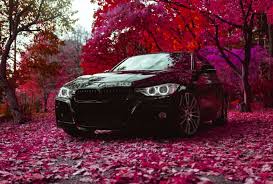 How to wax a black car. How To Maintain And Wax A Black Car Carupgrade
