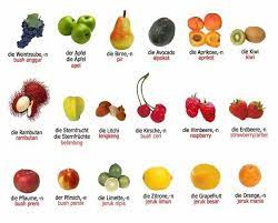 Yuk tonton video ini tentang gambar dan nama buah buahan dalam bahasa indonesia supaya anak anak cepat tahu. Gambar Buah Buahan Bahasa Jerman