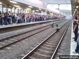 Noticias principales de metro de medellín, artículos de opinión, imágenes, fotos, galerías ¿discriminación en el metro de medellín? Caos En El Metro De Medellin On Make A Gif