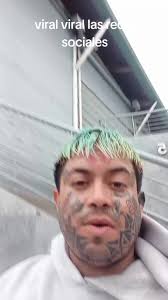 Videos de Nicolas Paredes (@elwasonking) con “Viral viral