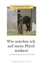 Was Fur Eine Beziehung Habe Ich Zu Meinem Pferd Bessere Beziehung Zum Pferd Reiten Lernen Pferde Pferd