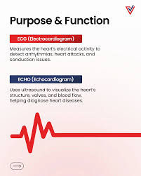 Image result for Electrocardiogram Validity