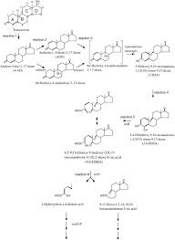 Com um atendimento personalizado e profissional para clientes particulares e empresariais, um as informações sobre a utilização deste web site são partilhadas com os nossos parceiros de redes. A New Bacterial Steroid Degradation Gene Cluster In Comamonas Testosteroni Ta441 Which Consists Of Aromatic Compound Degradation Genes For Seco Steroids And 3 Ketosteroid Dehydrogenase Genes Abstract Europe Pmc