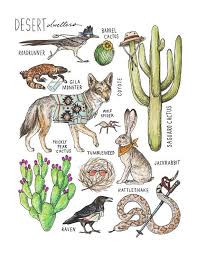 Generate accurate & precise patterns templates. Desert Dwellers Coyote Cacti Jackrabbit Roadrunner Etsy Arizona Illustration Pen And Watercolor Jack Rabbit