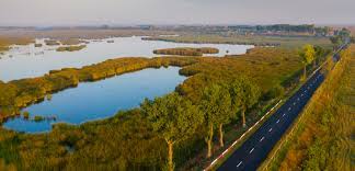 Parcul natural comana, deși nu are un relief spectaculos, are o biodiversitate extraordinară și un peisaj pitoresc. Fotografii Aeriene Parcul Natural Comana DragoÈ™ Asaftei
