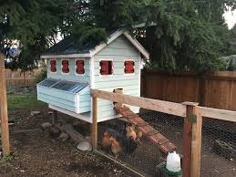 Every Day Is A Chicken Day Chickens Backyard Chicken Chicken Coop