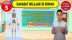 We did not find results for: Tematik Kelas 5 Tema 1 Subtema 2 Pembelajaran 2 Youtube
