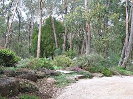 Garden Leading Into The Bush Australian Garden Australian Garden Design Acreage Landscaping