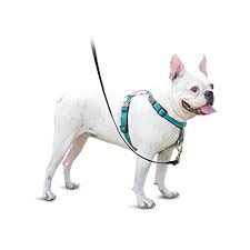 Harness easy walk deluxe s. Petsafe Deluxe Easy Walk Harness My Dog Training Collar