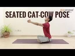 Start by coming on to the ground or yoga mat and find the table top position on your hands and knees. Seated Cat Cow Pose For Thoracic Mobility Bodsphere Youtube