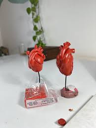 How To Use Polymer Clay And More Polymer Clay Questions Answered – Mont  Marte Global