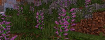 Hello fellow minecrafters, i recently downloaded and ran a server.exe. How To Decrease Mob Spawn Rate In Minecraft Server Aternos