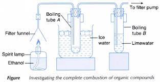 What Are Carbon Compounds A Plus Topper Https Www Aplustopper Com Tag Homologous Series Of Alkanes Alkenes And Alkynes Compounds Carbon Inorganic Compound