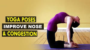 yoga poses for nasal congestion ekam