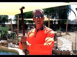 Tai Chi Cane And Walking Stick Tai Chi Qigong Tai Chi Martial Arts