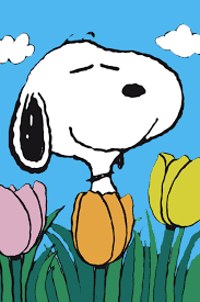Peanuts Double-Sided Flag - Snoopy Spring Tulips | snoopn4pnuts.com