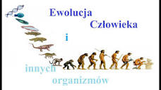Edytowana) Ewolucja człowieka i innych organizmów (Drzewo ...
