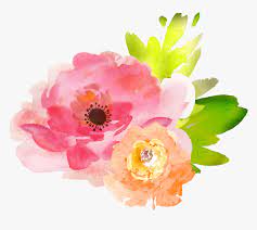 Select from premium watercolor flower of the highest quality. Clip Art Free Watercolor Flower Clipart Free Watercolor Flowers Transparent Background Hd Png Download Kindpng