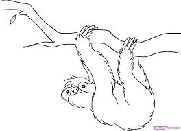 Rainforest animals free coloring pages are a fun way for kids of all ages to develop creativity, focus, motor skills and color recognition. Rainforest Animals Coloring Pages Rainforest Animals Coloring Pages Free Rainforest Animals Animal Coloring Pages Animal Clipart