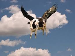 vaca+volando - aqua