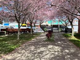 PAUA Architects (@pauaarchitects) • Instagram photos and videos