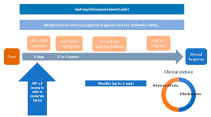 Jcm Free Full Text Glucocorticoids In Systemic Lupus Erythematosus Ten Questions And Some Issues Html