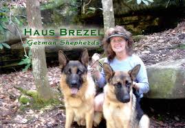 300 free dog training streaming videos, free ebooks, podcasts, by ed frawley and michael ellis. Haus Brezel German Shepherds Services Facebook
