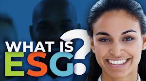 An Environmental, Social, and Governance (ESG) Primer for Security  Practitioners