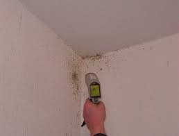 In warmer feuchter umgebung gedeihen pilze besonders gut. Schimmel Wohnung Uberall Schimmelbefall