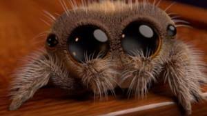 La couleur détestée des femmes. Arachnophobie Evitez Cette Couleur Qui Attire Les Araignees