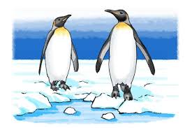The most northern parts of eurasia and north america are around the arctic ocean. How Do Arctic Animals Stay Warm Scientific American